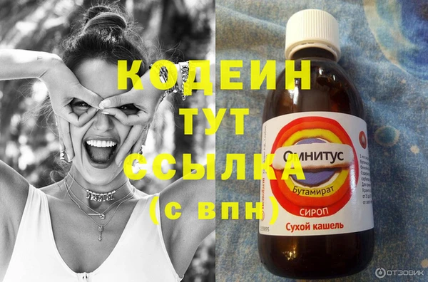 PSILOCYBIN Пересвет