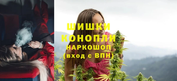 PSILOCYBIN Пересвет