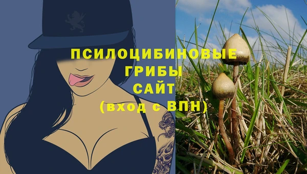 стафф Инта