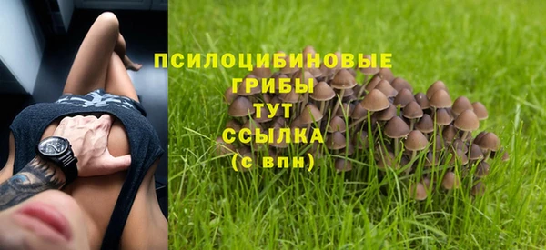 стафф Инта