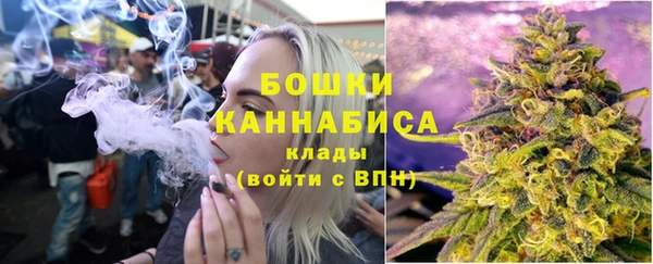 стафф Инта