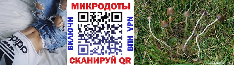 Псилоцибиновые грибы мицелий  Куса 