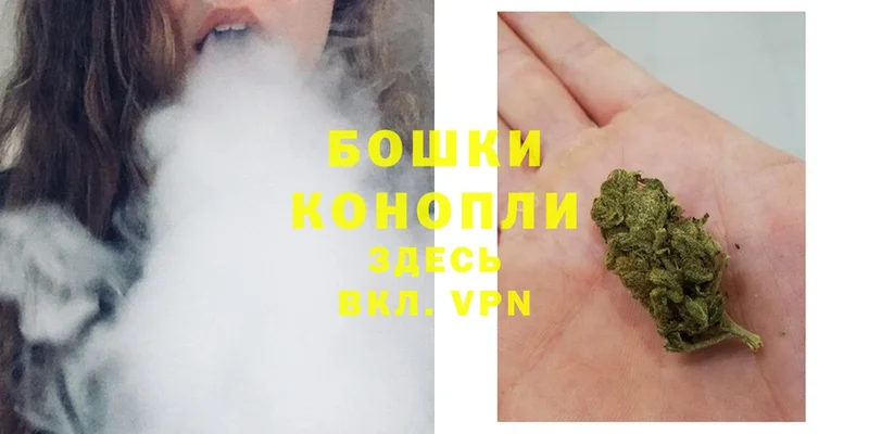 Марихуана OG Kush  где найти   дарк нет Telegram  Куса 